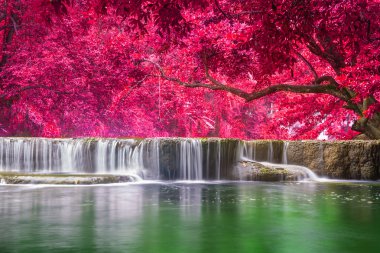 Ulusal Park'ta yağmur ormanlarında şelale