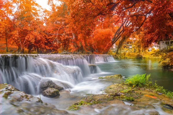 Водоспад у дощовому лісі в національному парку — стокове фото