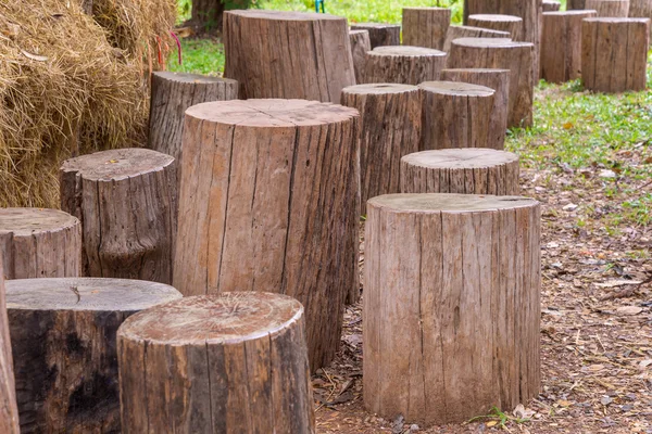 Stumps used as chairs outside in the garden — Stock Photo, Image