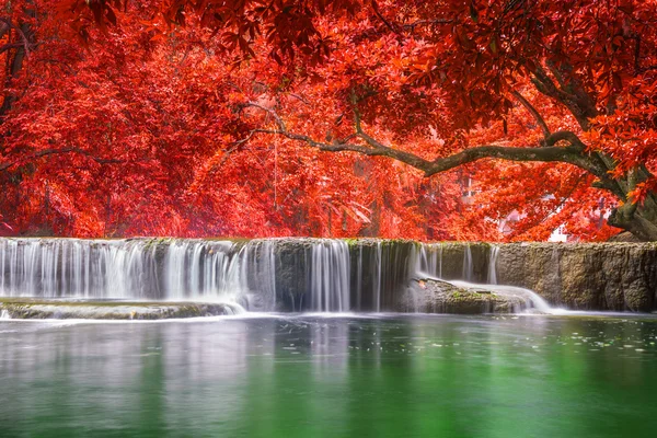 Vattenfall i regnskogen på national park — Stockfoto