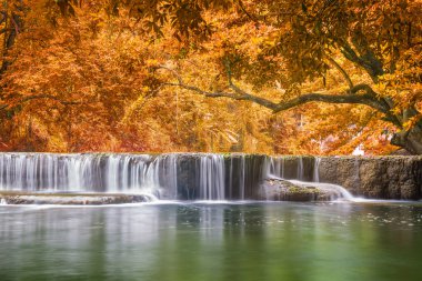 Ulusal Park'ta yağmur ormanlarında şelale