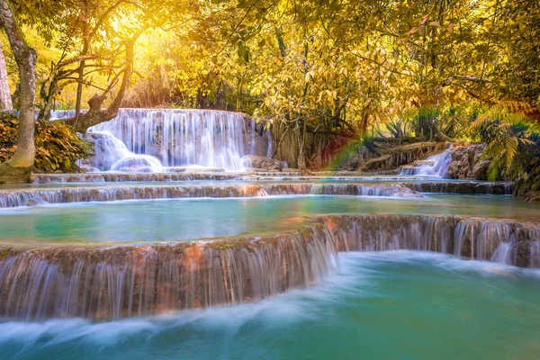 Cachoeira na floresta tropical (Tat Kuang Si Cachoeiras em Luang praba — Fotografia de Stock