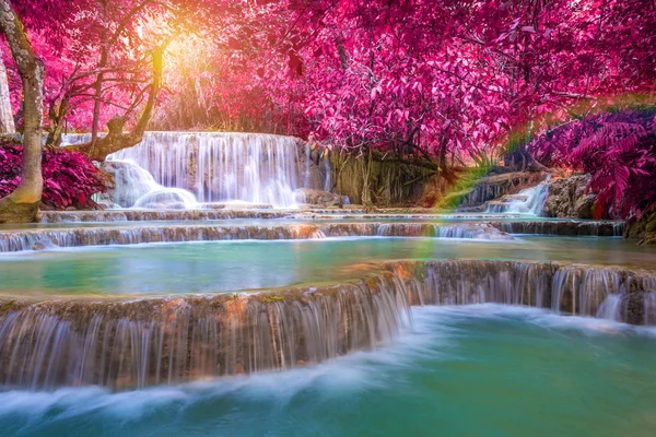 Waterfall in rain forest (Tat Kuang Si Waterfalls at Luang praba