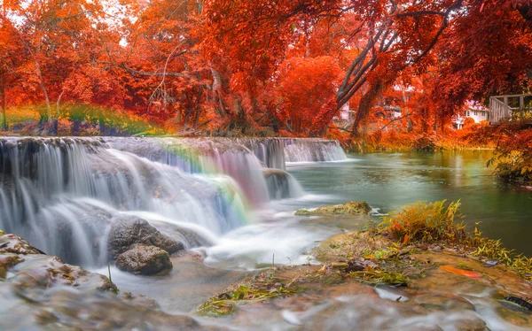 Waterfall in rain forest at national park — Stock Photo, Image