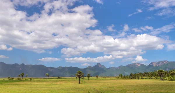 素敵な青空と山の美しい風景 — ストック写真