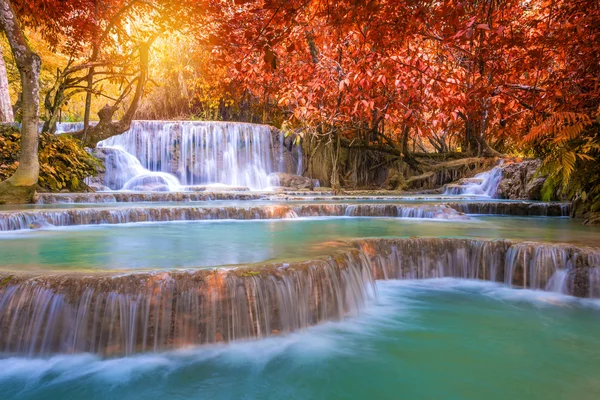 Vattenfall i regnskogen (Tat Kuang Si Waterfalls på Luang Gitte — Stockfoto