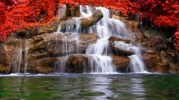 Cachoeira na floresta tropical no parque nacional — Fotografia de Stock