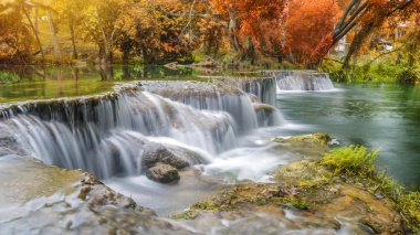 Ulusal Park'ta yağmur ormanlarında şelale