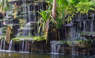 Bahçesinde bitki genel Park'ta bulunan şelale
