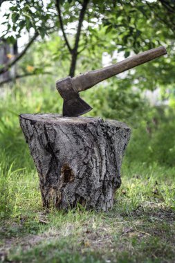 Bagajda axe