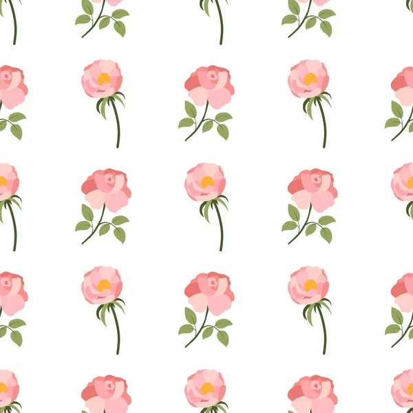 Naadloos patroon met roze roos en pioenroos op witte achtergrond. — Stockvector