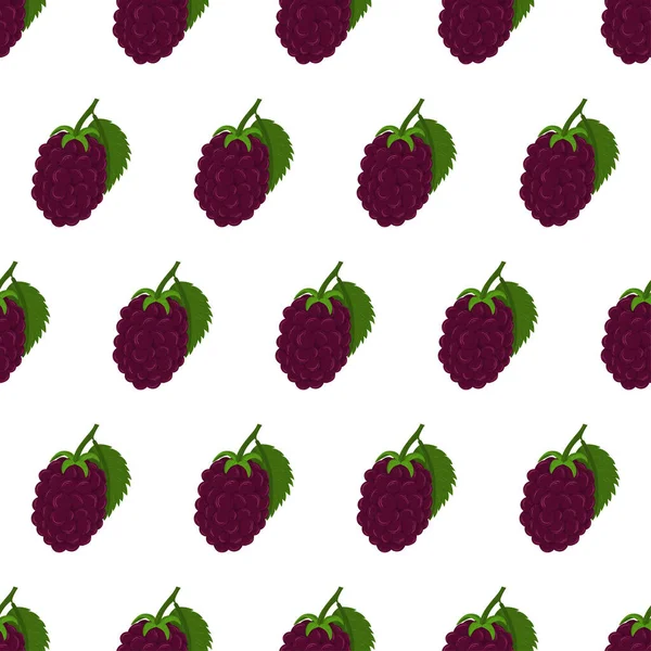 Yeşil yapraklı böğürtlen beyaz arka planda pürüzsüz desen.