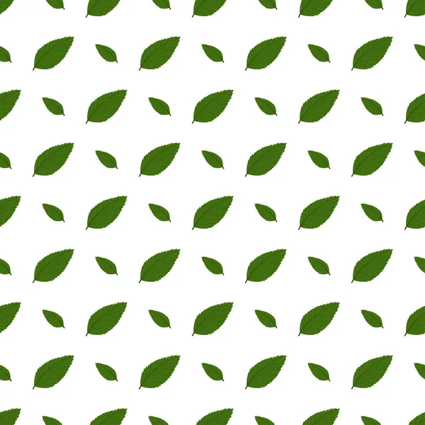 Groen blad naadloos patroon op witte achtergrond. — Stockvector