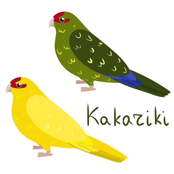 Papagaio kakariki em estilo cartoon no fundo branco. Periquitos da Nova Zelândia — Vetor de Stock