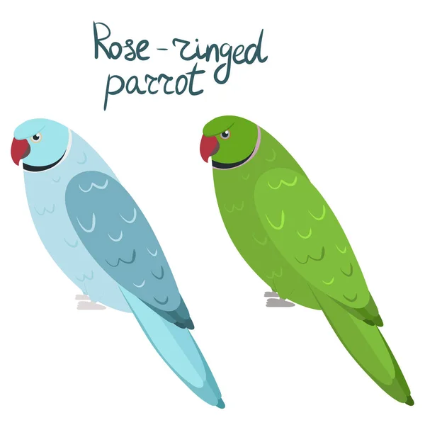 Papoušek s růžovými kroužky nebo papoušek s prstencem v kresleném stylu na bílém pozadí. Psittacula krameri — Stockový vektor