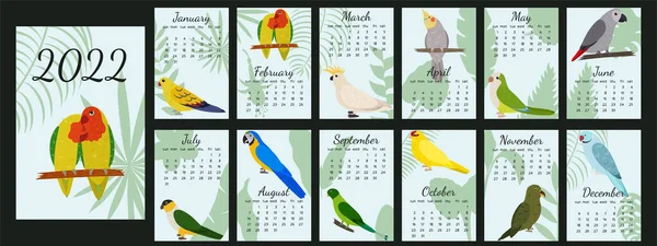 Calendário 2022 com papagaios de desenhos animados com capa. Modelo de calendário com fundo de silhueta de folhas tropicais. Semana começa no domingo. — Vetor de Stock