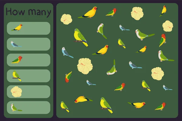 Los niños matemático mini juego - contar cuántos loros y flores tropicales - rey australiano, periquitos, neophema, hibisco. Juegos educativos para niños. — Vector de stock