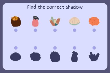 Deniz şakayıkları, mercanlar, süngerler, deniz şakayıkları....