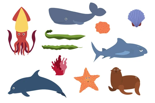 Conjunto de animales marinos - calamar esperma ballena tiburón delfín estrella de mar foca de piel. Mundo submarino habitantes imprimir. — Vector de stock