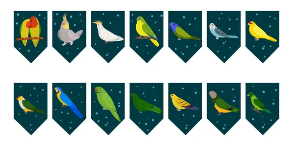 Vlajky věnce pro narozeninovou oslavu s tropickými ptáky na barevném tmavozeleném pozadí. Bunting wit lovebird cockatiel cockatoo macaw papoušci. — Stockový vektor