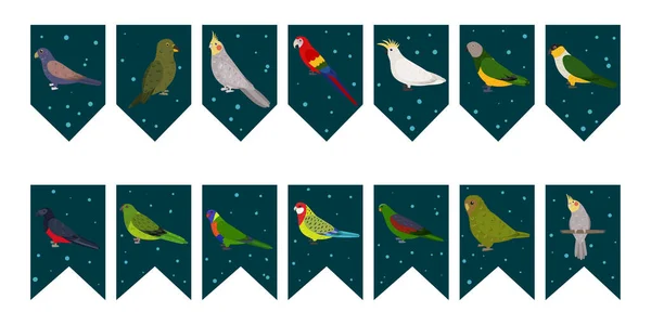 Σημαίες γιρλάντα για πάρτι γενεθλίων με τροπικά πουλιά σε πολύχρωμο σκούρο πράσινο φόντο. Παπαγάλοι με χάλκινα φτερά κακάπο κακατιήλ κέα. — Διανυσματικό Αρχείο