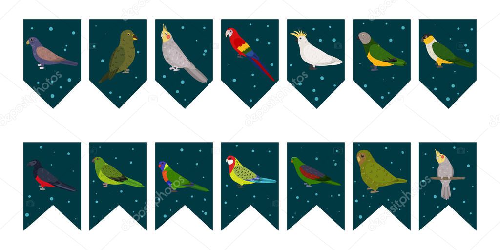 Flags garland for birthday party with tropical birds on colorful dark green background. Bunting wit kakapo cockatiel kea bronze wings parrots.