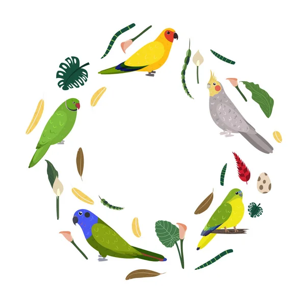 Modèle de conception avec des perroquets en cercle pour l'impression enfant. Composition ronde des oiseaux tropicaux rose annelée, pionus, néophème et soleil aratinga. — Image vectorielle