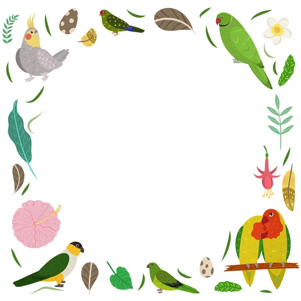 Modèle de cadre avec des oiseaux exotiques de dessin animé. Composition rectangle tropical avec cockatiel, tourtereau, perroquets kakariki. — Image vectorielle
