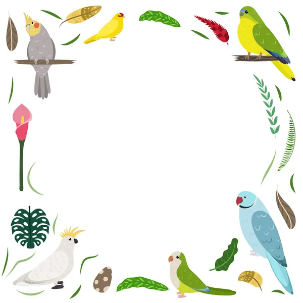 Modèle de cadre avec des oiseaux exotiques de dessin animé. Composition en rectangle tropical avec cacatoès, cockatiel, kakarike et perroquets néophème. — Image vectorielle