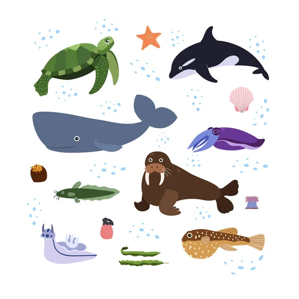 Plantilla de diseño con animal marino en cuadrado para impresión infantil. Composición rectangular de animales marinos, ballenas, tortugas y morsas. — Vector de stock