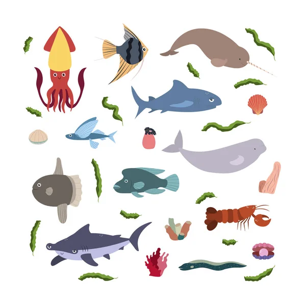 Plantilla de diseño con animal marino en cuadrado para impresión infantil. Composición rectangular de los animales marinos, calamar, martillo y tiburón, beluga y langosta, narval. — Vector de stock