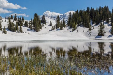 Güneş ışığı altında Arosa yakınlarındaki Praetschsee gölünün sularına yansıyan ağaçlar