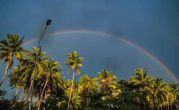 Circle spectrum Rainbow on the blue sky after rain over the Palm Trees Tropical