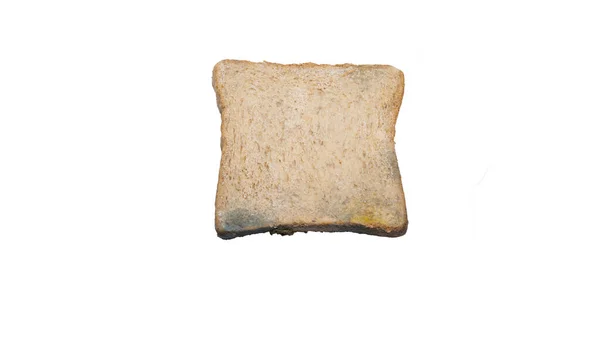 Один Ломтик Белого Хлеба Плесенью Изолированы Белом Фоне Дорожкой — стоковое фото