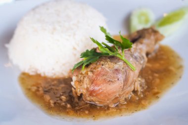 Tayland usulü körili tavuk ve sos yanında pilav, salatalık ve beyaz seramik tabakta kişniş..