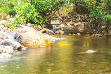 Derin tropikal yağmur ormanlarında inanılmaz bir akıntısı olan orman manzarası. Seyahat arazisi ve varış yerleri Tayland ve Güney Doğu Asya