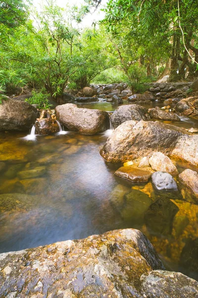 Paisaje Selvático Con Arroyo Increíble Selva Tropical Profunda Viajes Paisajes — Foto de Stock