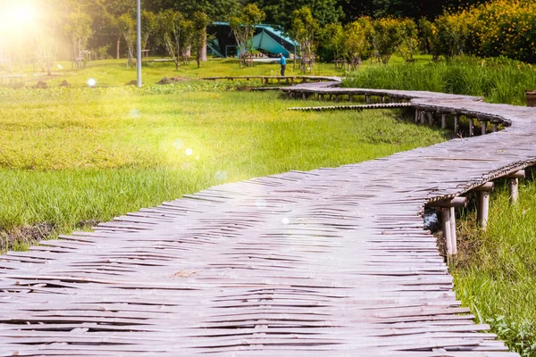 Kurva Bambubron Böjda Träbro Park Paddy Fält — Stockfoto