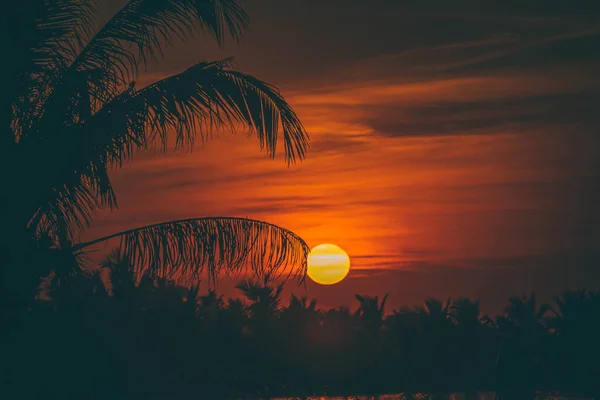 Silhouet Van Palmboom Bij Zonsondergang Landschap Gouden Zon Zonsondergang Reflecteren — Stockfoto