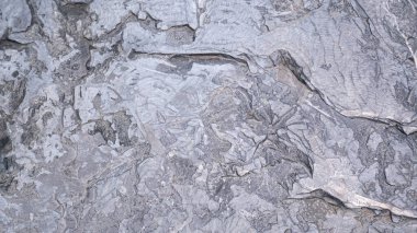 Soyut arkaplan için duvarın eski kırsal beton doğal dokusu