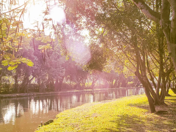 Morgendliches Sonnenlicht Durch Einen Ruhigen See Stadtpark — Stockfoto