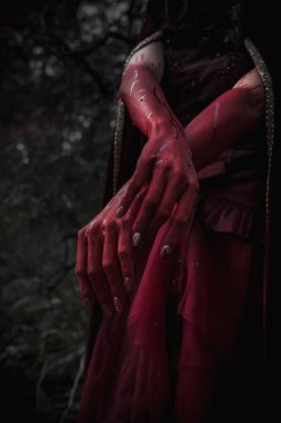 Ormandaki karanlık peri