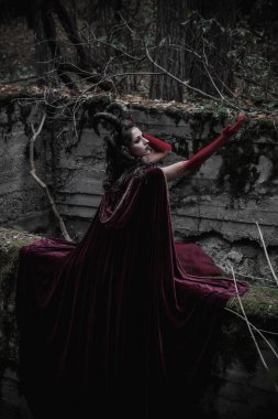 Ormandaki karanlık peri