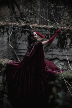 Ormandaki karanlık peri