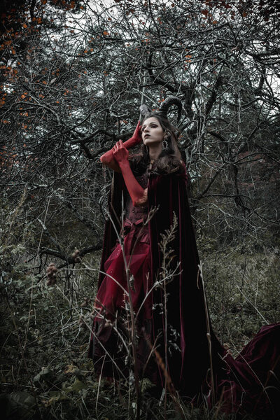 Dark fairy in the forest