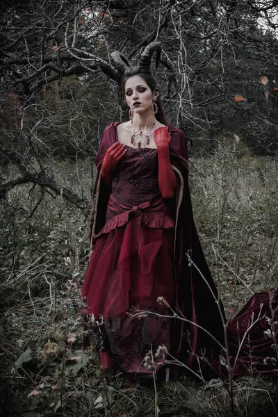 森林里的黑暗仙女 — 图库照片