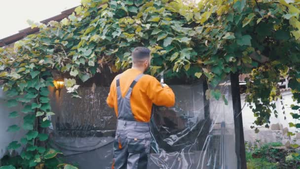 Активний фермер зрізає листя винограду, що росте на задньому дворі — стокове відео