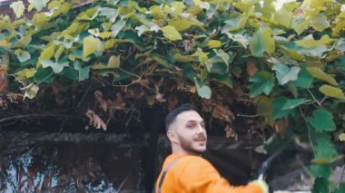 Genç çiftçinin bahçedeki üzüm yapraklarını keserken ve kameraya sırıtırken yakın çekimi.