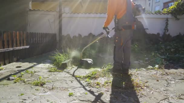 Giardiniere falciare l'erba nel cortile con macchina trimmer — Video Stock