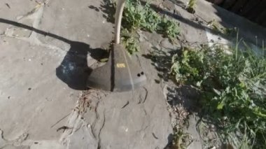 Çim biçmek için tel biçme makinesi kullanan bir adam.